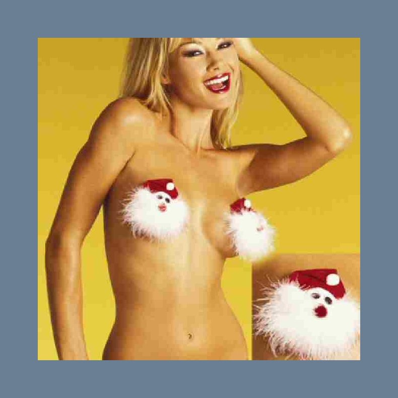 Frk julemand Nippel Cover