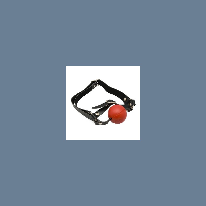 Sexlegetj Mund Gag Rd